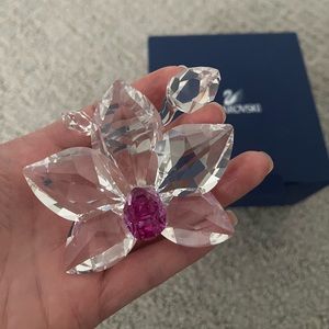 Swarovski Crystal Orchid Blossom